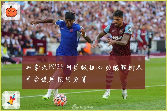 加拿大PC28网页版核心功能解析及平台使用技巧分享