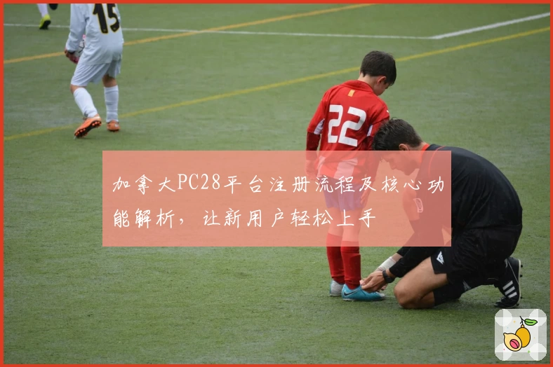 加拿大PC28平台注册流程及核心功能解析，让新用户轻松上手