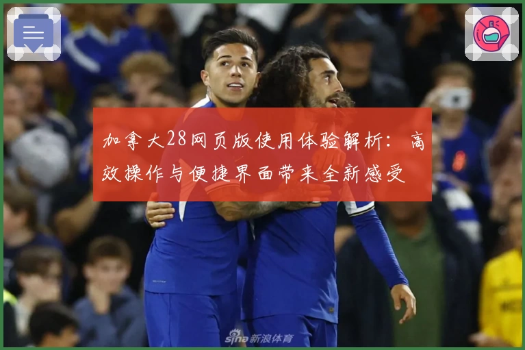 加拿大28网页版使用体验解析：高效操作与便捷界面带来全新感受