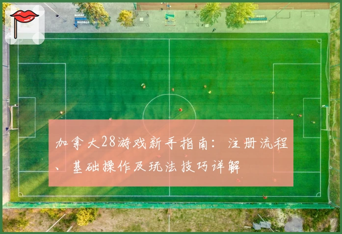 加拿大28游戏新手指南：注册流程、基础操作及玩法技巧详解