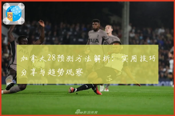 加拿大28预测方法解析：实用技巧分享与趋势观察