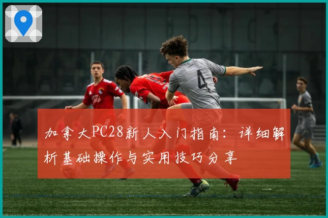 加拿大PC28新人入门指南：详细解析基础操作与实用技巧分享