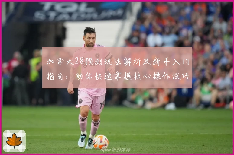 加拿大28预测玩法解析及新手入门指南，助你快速掌握核心操作技巧