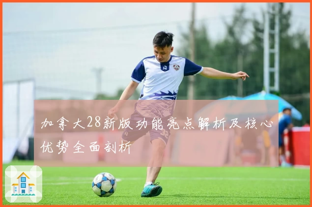 加拿大28新版功能亮点解析及核心优势全面剖析