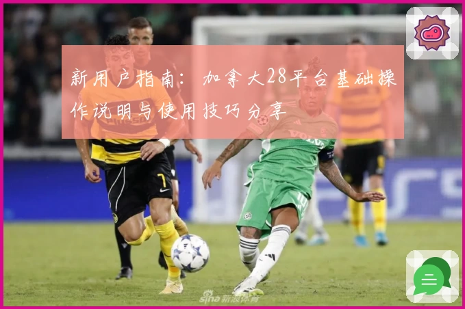 新用户指南：加拿大28平台基础操作说明与使用技巧分享