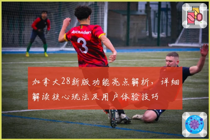 加拿大28新版功能亮点解析，详细解读核心玩法及用户体验技巧