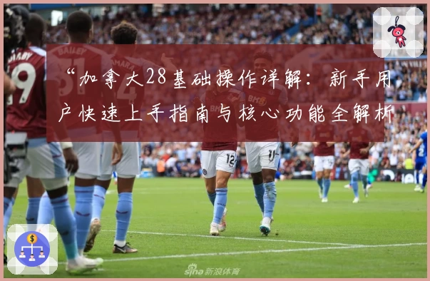 “加拿大28基础操作详解：新手用户快速上手指南与核心功能全解析”