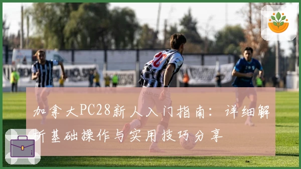 加拿大PC28新人入门指南：详细解析基础操作与实用技巧分享