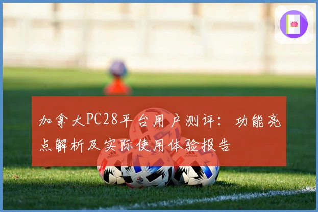 加拿大PC28平台用户测评：功能亮点解析及实际使用体验报告